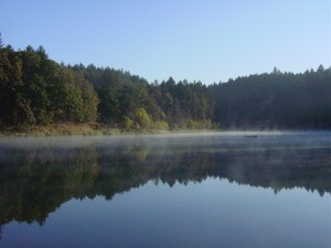mist-on-the-lake-camp-tilikum