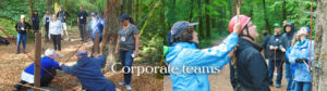 camp-tilikum-challenge-course-corporate-teams