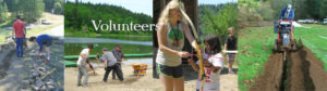 volunteers-at-camp-tilikum-2