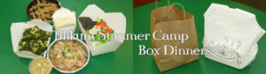 summer-camp-box-dinners