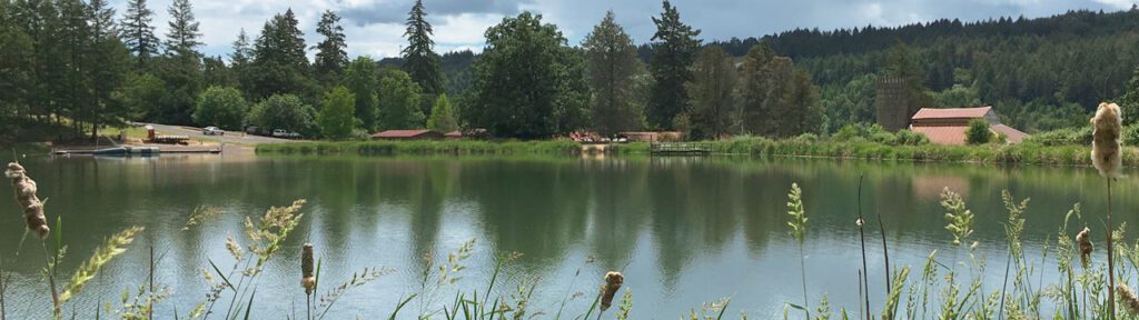 banner-lake-tilikum-pano