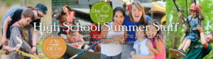 2023-high-school-summer-staff-apply-banner