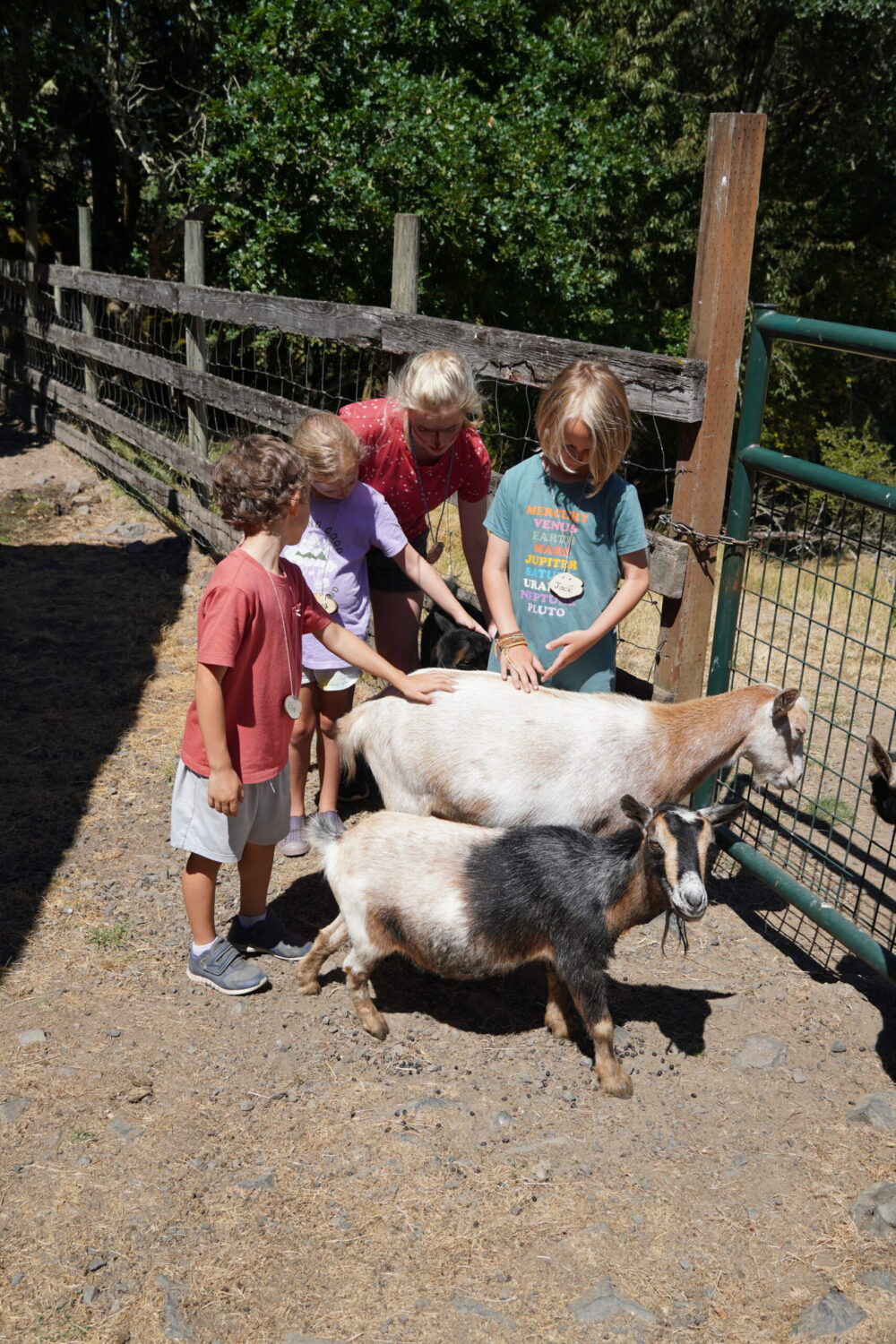 summer-camp-group-at-camp-tilikum